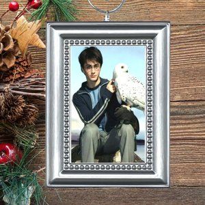 Harry Potter & Pet Snowy Owl Hedwig Christmas Tree Ornament‎